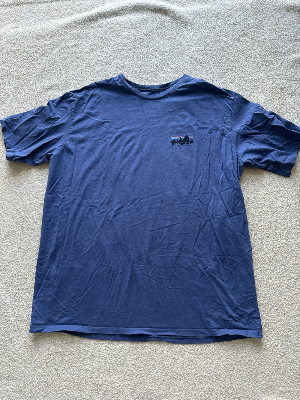 Patagonia Men's Cotton Tshirt